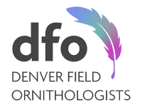 DFO Logo
